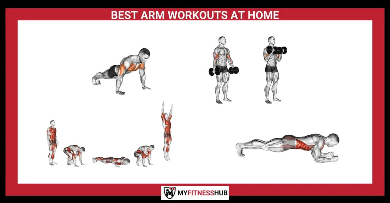 BEST ARM WORKOUTS AT HOME, guides guide by My Fitness Hub BEST ARM WORKOUTS AT HOME, guides guide by My Fitness Hub