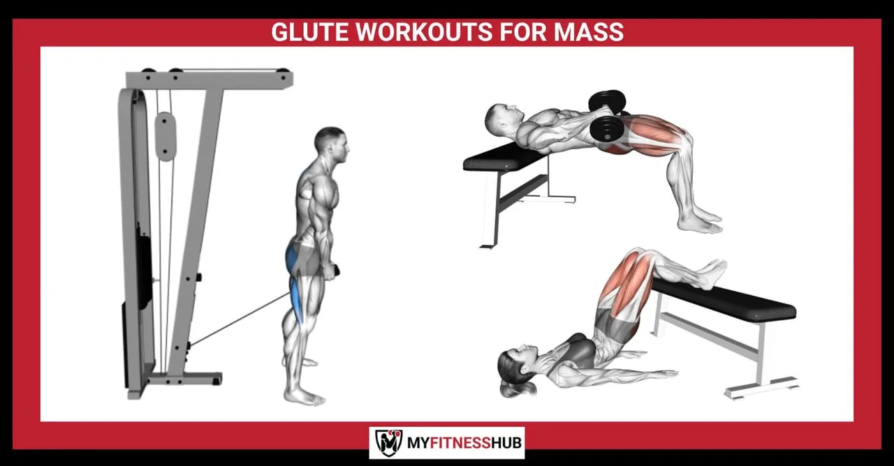 GLUTE WORKOUTS FOR MASS: Strategies for Gaining Size and Strength in Your Glutes, Guides guide GLUTE WORKOUTS FOR MASS: Strategies for Gaining Size and Strength in Your Glutes, Guides guide