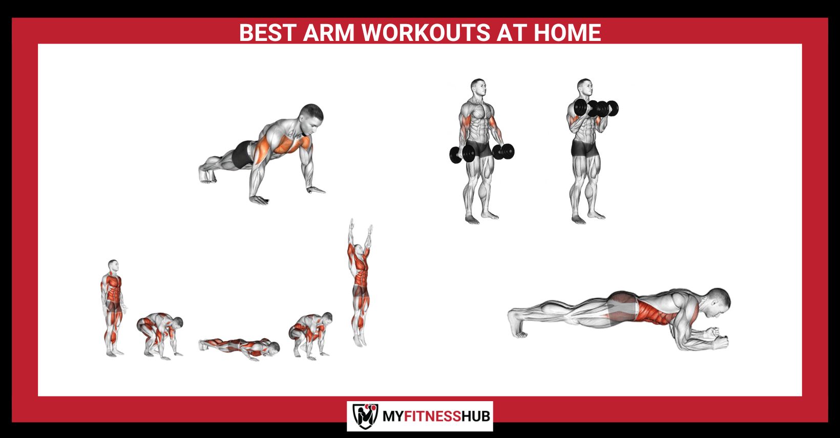 best-arm-workouts-at-home-1640x856.jpg